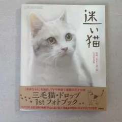 迷い猫 映画「先生と迷い猫」公式写真集