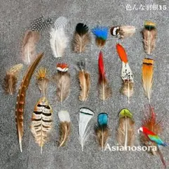 Item thumbnail for item e8817bac-402c-40c4-98b4-9c21c443e8f8