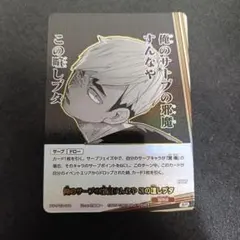 ハイキュー!! バボカ 俺のサーブの邪魔すんなや この喧しブタ SP