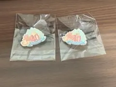 ディズニー40周年 記念バッジ