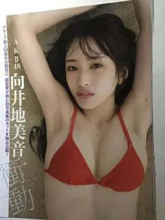 グラビアアイドル　クリアファイル 14_1_1_a2ccd1b3-d13d-4f3d-9e5b