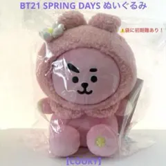 未開封♥BT21公式❤ぬいぐるみ SPRING DAYS コンプリートセット - メルカリ