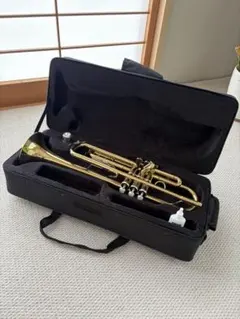 プレイテック　プラスチックトランペットとマウスピース等のセット　中古　美品 2025年最新】playtech トランペットの人気アイテム - メルカリ