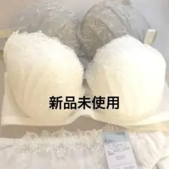 ブラショーツセット d70