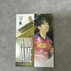 柳田将洋 スポーツ選手