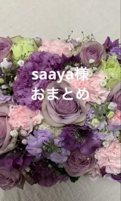 saaya様 リクエスト 2点 まとめ商品