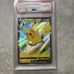 ARS10】2021 ポケモンカード 25th なみのりピカチュウVMAX - メルカリ