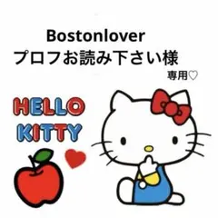 Bostonlover様専用♡デコパーツ ミニチュアフード お菓子 猫
