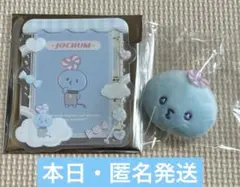 JOCHUM キャンディデザインシリーズ マイクン　2種セット