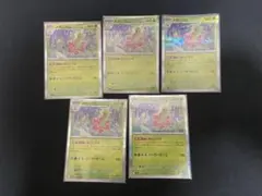 メガニウム R 5枚