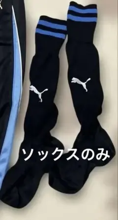 coco様⭐︎川崎フロンターレ スクール 指定ソックス