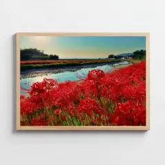 A4 川沿いに咲く彼岸花　季節　インテリアアート　自然　癒し　夕日