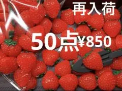いちご デコレーションパーツ