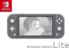 Nintendo Switch Lite グレー