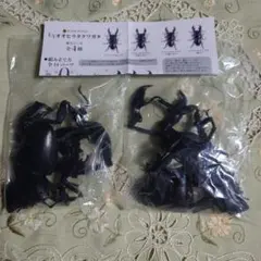 オオヒラタクワガタ