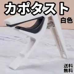 Item thumbnail for item 3b449c12-f676-4b7a-96b3-af006cc77dc6