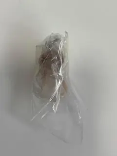 なめこ栽培キット めじるしアクセサリー 長なめこ