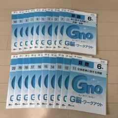 中学受験グノーブル　算数6年 G脳ワークアウト　全20冊　新版