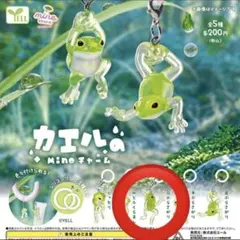 カエルのMineチャーム 【口ぶらさがり】
