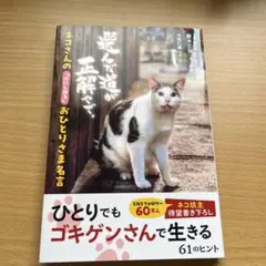 選んだ道が正解で、ネコさんの心に寄り添う名言