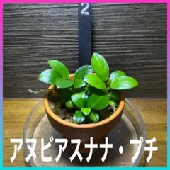 yasushi41720様 リクエスト 3点 まとめ商品