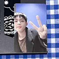 【公式】BTS(防弾少年団)FESTA 2025 armyzone トレカ☆テテ