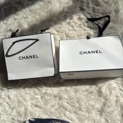 CHANEL ショップ袋2セット