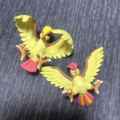 2026年最新】立体ポケモン図鑑 ピジョットの人気アイテム - メルカリ