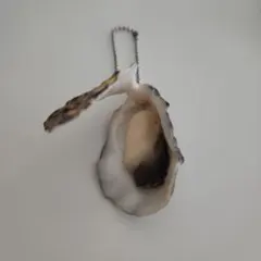진짜 생굴 사료 샘플 키체인 ☆