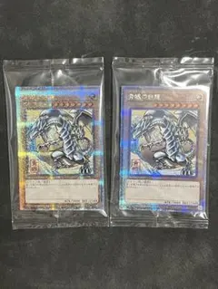 psa10】超美品 遊戯王 青眼の白龍 絵違い 地球背景 25thシク 1枚
