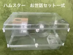 Item thumbnail for item 325469ba-235c-4085-9b86-9e0a2eb58945