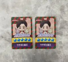 SEVENTEENセブチ NEW fc限定 ジョンハン パズチ トレカ　2枚