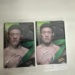 Item thumbnail for item ad21aa52-dcb3-421f-9d64-5529e6cadf94