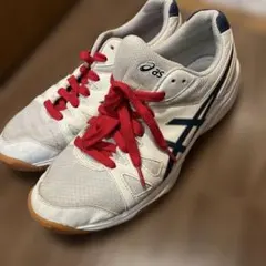 asics 体育館シューズ25.5 cm