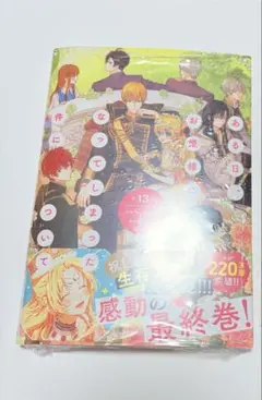 ある日、お姫様になってしまった件について 13 ある姫