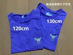 恐竜刺繍 ポケットTシャツ 2枚セット 120cm 130cm 紫色