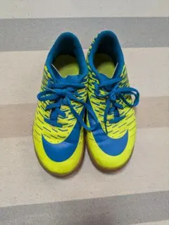 Item thumbnail for item e5c7c6b2-b565-4d65-93a6-3921ea1b6b8c