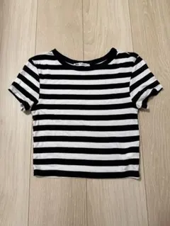 ZARA ボーダー クロップド丈 Tシャツ