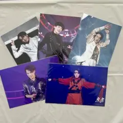 TravisJapan 虎者 ステフォ松倉海斗