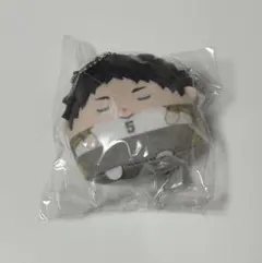 ハイキュー!! くじメイト ぬいくじ E賞 てのりんずコレクション（赤葦京治）