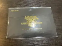 遊戯王　wcs2025セレブレーションイベント 優勝景品