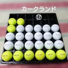 KIRKLAND Signature ロストボールのサムネイル