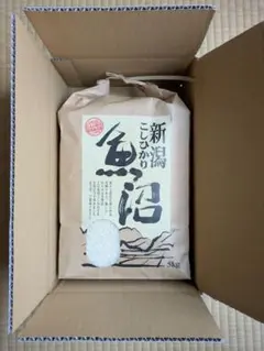 2025年愛媛県産奥伊予の「山麓米」(虹のきらめき)15kg202510.9精米 2025年愛媛県産奥伊予の「山麓米」(虹のきらめき)5kg 202510.9精米