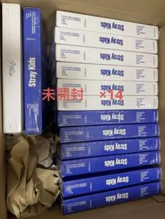 スキズ　アルバム　karma straykids 未開封