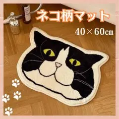 ねこ柄マット 玄関 お風呂 マット 40×60㎝ 猫 ペット リビング 寝床のサムネイル