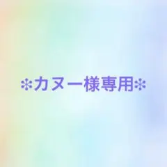 ❉カヌー様専用❉