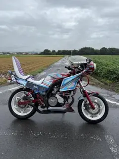 cbr250rr mc22用 ファディダディ芯抜きサイレンサー - メルカリ