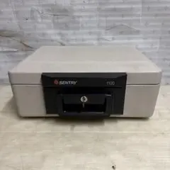 Item thumbnail for item 322054e9-6872-49af-8609-68490ff6f381