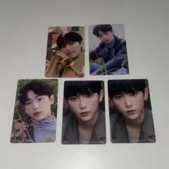 &team ハルア トレカ まとめ売り first howling