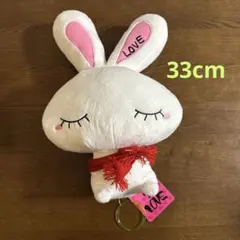 Item thumbnail for item a7b70372-5a42-4fa6-aba9-937e48183a63